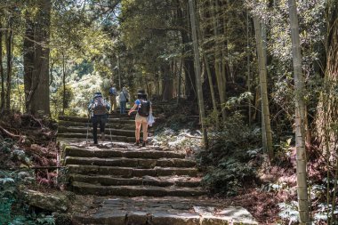 Kumano Kodo - Nakahechi Daimon-saka Pilgrim Route, Japonya 'da bir grup yürüyüşçüyle arka plan.
