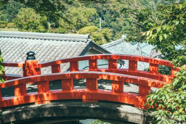 Japonya 'daki Kumano-Nachi Taisha yolu üzerinde kırmızı ahşap köprüsü olan manzara manzarası..