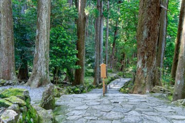 Cobblestone path through the forest of ancient cedars, part of the Kumano Kodo - Nakahechi Daimon-saka Pilgrim Route in Japan. clipart