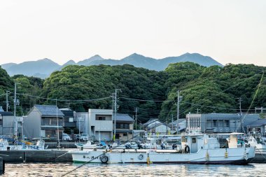Nachikatsuura, Japonya - 05.10.2024: Japonya 'nın Nachikatsuura limanında ya da iskelede balıkçı tekneleri.