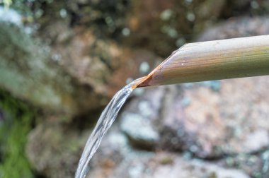 Close up detail with a water pipe fountain made of bamboo stem. Water fountain for purification called temizuya at a Shinto Buddhist temple clipart