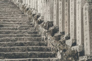 Stone stairs at a buddhist temple in Nara, Japan. clipart