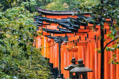 The torii gate covered walking path at Fushimi Inari Taisha temple in Kyoto, Japan. ( Japanese inscriptions translated are different religion blessings) clipart