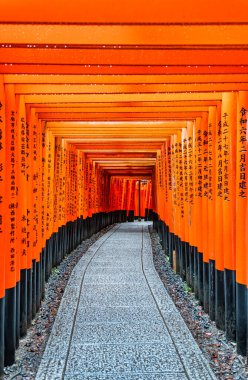 Torii kapısı Japonya 'nın Kyoto kentindeki Fushimi Inari Taisha tapınağında yürüyüş yolunu kapadı. (Japonca çeviriler farklı dini nimetlerdir.)