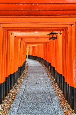 Torii kapısı Japonya 'nın Kyoto kentindeki Fushimi Inari Taisha tapınağında yürüyüş yolunu kapadı. (Japonca çeviriler farklı dini nimetlerdir.)