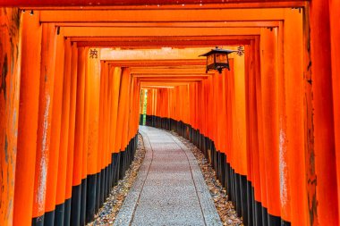 Torii kapısı Japonya 'nın Kyoto kentindeki Fushimi Inari Taisha tapınağında yürüyüş yolunu kapadı. (Japonca çeviriler farklı dini nimetlerdir.)