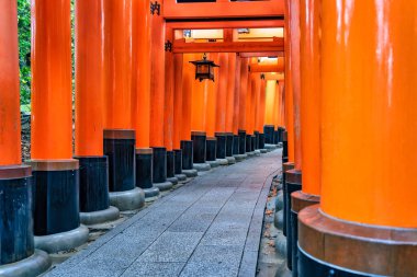 Torii kapısı Japonya 'nın Kyoto kentindeki Fushimi Inari Taisha tapınağında yürüyüş yolunu kapatıyordu..