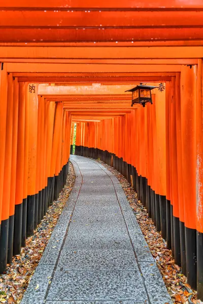 Torii kapısı Japonya 'nın Kyoto kentindeki Fushimi Inari Taisha tapınağında yürüyüş yolunu kapadı. (Japonca çeviriler farklı dini nimetlerdir.)