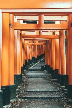 Torii kapısı Japonya 'nın Kyoto kentindeki Fushimi Inari Taisha tapınağında yürüyüş yolunu kapadı. (Japonca çeviriler farklı dini nimetlerdir.)
