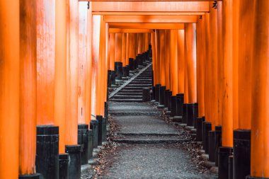 Torii kapısı Japonya 'nın Kyoto kentindeki Fushimi Inari Taisha tapınağında yürüyüş yolunu kapadı. (Japonca çeviriler farklı dini nimetlerdir.)