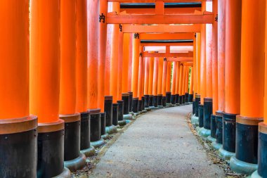 Torii kapısı Japonya 'nın Kyoto kentindeki Fushimi Inari Taisha tapınağında yürüyüş yolunu kapadı. (Japonca çeviriler farklı dini nimetlerdir.)