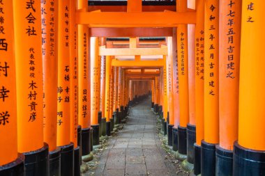 Torii kapısı Japonya 'nın Kyoto kentindeki Fushimi Inari Taisha tapınağında yürüyüş yolunu kapadı. (Japonca çeviriler farklı dini nimetlerdir.)