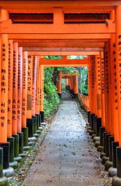 Torii kapısı Japonya 'nın Kyoto kentindeki Fushimi Inari Taisha tapınağında yürüyüş yolunu kapadı. (Japonca çeviriler farklı dini nimetlerdir.)