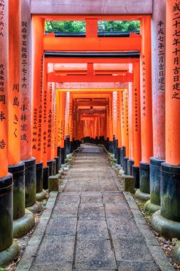 Torii kapısı Japonya 'nın Kyoto kentindeki Fushimi Inari Taisha tapınağında yürüyüş yolunu kapadı. (Japonca çeviriler farklı dini nimetlerdir.)