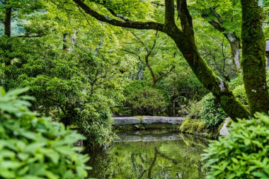 Kyoto 'daki Kiyomizu-dera tapınağında bir Japon bahçesi ve su birikintisi olan bir ayrıntı..