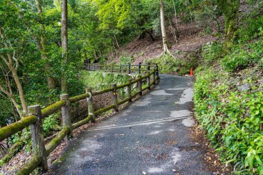 The path through the forest to Daihikaku Senkoji Temple in Arashiyama district, Kyoto. clipart