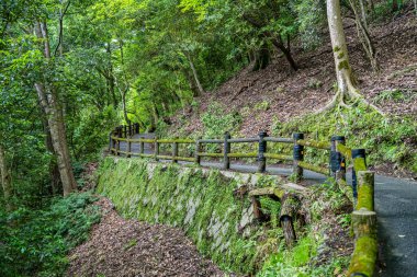 Arashiyama, Kyoto 'daki Daihikaku Senkoji Tapınağı' na giden yol..