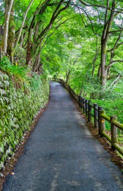 Arashiyama, Kyoto 'daki Daihikaku Senkoji Tapınağı' na giden yol..