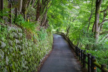 Arashiyama, Kyoto 'daki Daihikaku Senkoji Tapınağı' na giden yol..