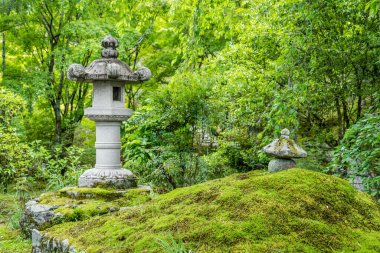 Tenryu-ji Tapınağı, Arashiyama Kyoto 'daki Japon bahçesinden güzel manzaralı sakin bir manzara..