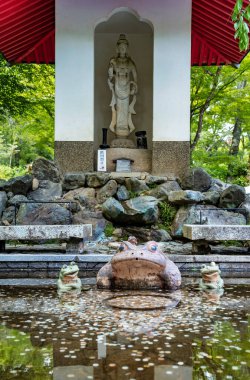 İçinde bir sürü bozuk para ve Japon bahçesinde bir kurbağa heykeli olan küçük bir gölet. Tenryu-ji Tapınağı, Kyoto 'da şanslı kurbağa..