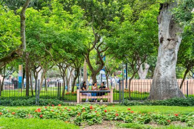 Lima, Peru - 11 Mart 2025: Kennedy Park, Lima 'nın göbeğinde yemyeşil ağaçlarla çevrili bir bankta oturan üç kadın
