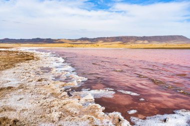 Peru 'daki Paracas Ulusal Rezervi' nde çöl kumullarına karşı kurulan pembe tuz gölünün manzarası.