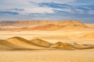 Peru 'daki Paracas Ulusal Rezervi' nin kurak arazisine çöl kumulları uzanıyor.