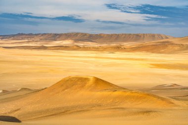 Peru 'daki Paracas Ulusal Rezervi' nin kurak arazisine çöl kumulları uzanıyor.