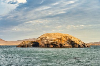 Paracas Ulusal Rezervi, Peru 'da kaplumbağa şeklinde kaya oluşumu.