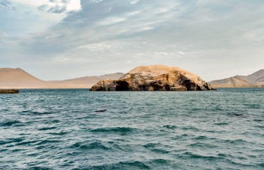 Paracas Ulusal Rezervi, Peru 'da kaplumbağa şeklinde kaya oluşumu.