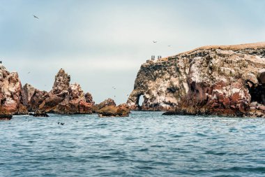 Peru 'daki Ballestas Adaları' nın engebeli kıyı kayalıklarından çarpıcı bir manzara.