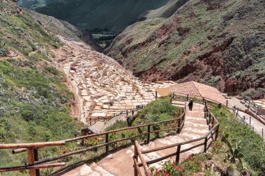 Cusco, Peru - 15 Mart 2025: Maras 'ın tuzlu göletleri Peru' nun kutsal vadisinde teraslı bir yamaçta.