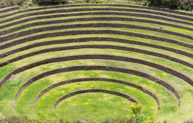 Moray 'in dairesel tarımsal teraslarıyla manzara. Peru' nun kutsal vadisinde İnka arkeolojik alanı..