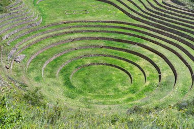 Moray 'in dairesel tarımsal teraslarıyla manzara. Peru' nun kutsal vadisinde İnka arkeolojik alanı..