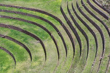 Moray 'in dairesel tarımsal teraslarıyla manzara. Peru' nun kutsal vadisinde İnka arkeolojik alanı..