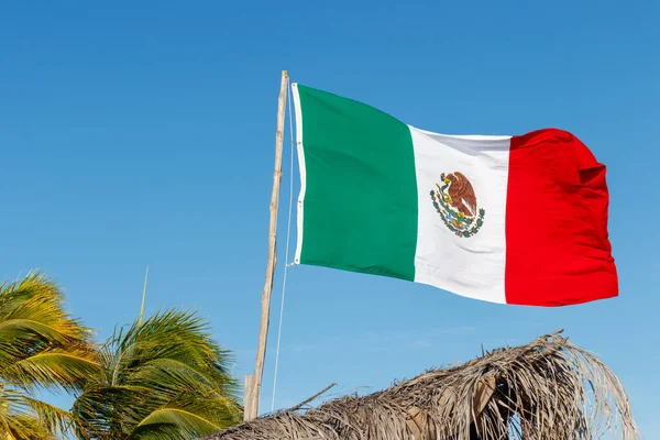 墨西哥国旗挂在蓝天之上 有牧草和棕榈树 — 图库照片