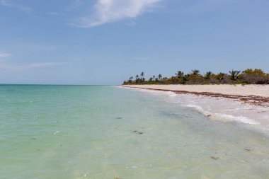 Cennet Uzaktan Kumsal Cabo Catoche Holbox Meksika 'da turkuaz suyla.