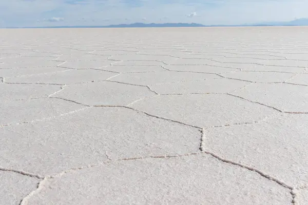 Salt flat and desert of uyuni pattern formed, Bolivia Uyuni.