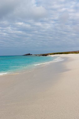 Espanola Adası, Galapagos Ulusal Parkı, Ekvador 'daki Gardner Körfezi' nde turkuaz suyu bulunan kumsal..