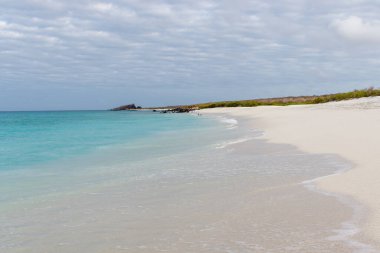 Espanola Adası, Galapagos Ulusal Parkı, Ekvador 'daki Gardner Körfezi' nde turkuaz suyu bulunan kumsal..