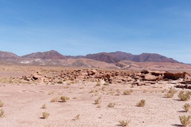 Valle arcoiris dağları ya da Şili Atakama Çölü 'ndeki gökkuşağı vadisi olan toz ya da taş çemberleri..