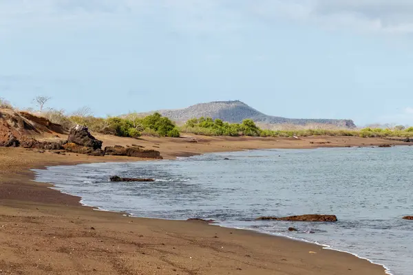 Punta Cormorant, Floreana Adası 'ndaki sahilin manzarası. Galapagos.