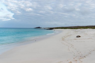 Espanola Adası, Galapagos Ulusal Parkı, Ekvador 'daki Gardner Körfezi' nde turkuaz suyu bulunan kumsal..