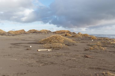 İzlanda maliyetli siyah kum tepecikleri.