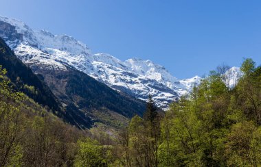 Dağlar, tepeler ve orman. Dağ sırası ve açık mavi gökyüzü. Yazın İsviçre manzarası.
