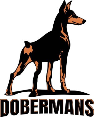 Doberman köpek logosu tasarım vektör sanatı