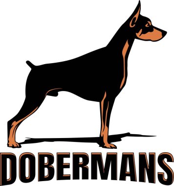 Doberman köpek logosu tasarım vektör sanatı