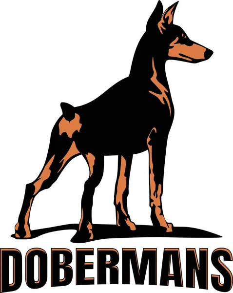Dobermans Chien Logo Conception Vectoriel Art — Image vectorielle