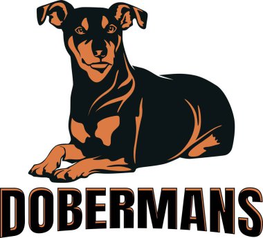 Doberman köpek logosu tasarım vektör sanatı